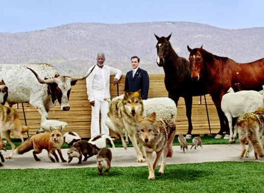 Morgan Freeman und Steve Carell: Wir's jetzt ernst mit der Arche? Bild: Sender