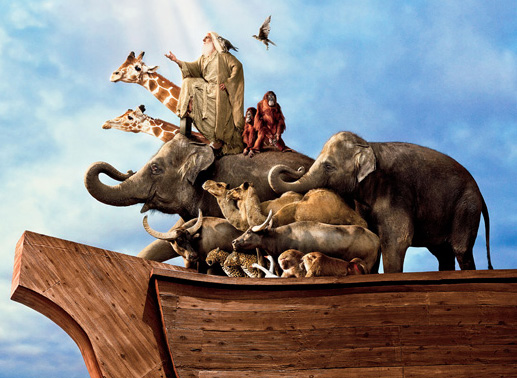 Die Arche und die Tiere - war's das jetzt? Bild: Sender