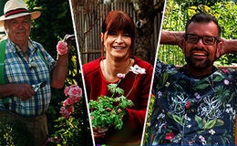 NEWS: Gartensendungen im TV