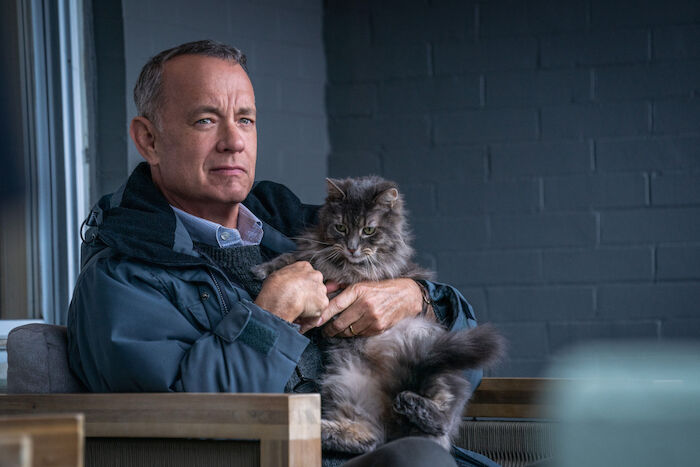 Ein Mann namens Otto: Tom Hanks (Otto). Bild: Sender / Sony Pictures / CTMG / Niko Tavernise