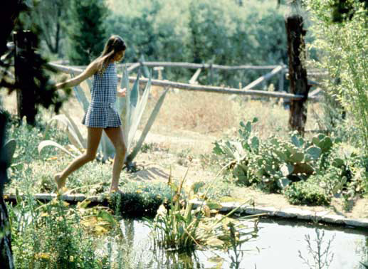 Objekt der Begierde? Penelope (Jane Birkin). Bild: Sender