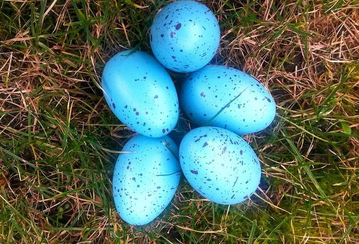 Waren die Ostereier fr&uuml;her wirklich bunter? Und der Fr&uuml;hjahrsputz gr&uuml;ndlicher? Das Osterwetter sonniger und die Fr&uuml;hlingsgef&uuml;hle euphorischer? Bild: Sender