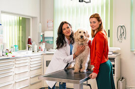 Zwei Frauen f&uuml;r alle Felle: Tier&auml;rztinnen Maja Freydank (Bettina Zimmermann,l.) und Julia Kramer (Meriel Hinsching) mit Hund Tessa. Bild: Sender / MDR / Thomas Dietze