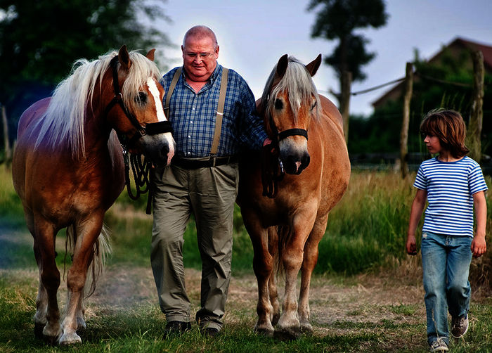 Timo (Cai Cohrs) hilft Krause (Horst Krause) bei den Pferden. Bild: Sender / rbb / Arnim Thoma&szlig; 