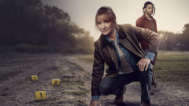 Finale Staffel 4: Harry Wild – Mörderjagd in Dublin