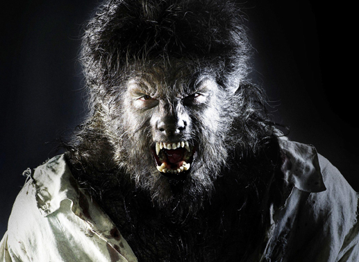 Wenn der Vollmond aufzieht, kann Lawrence (Benicio del Toro) die Ver&auml;nderung nicht mehr aus eigener Kraft aufhalten: er verwandelt sich in einen blutr&uuml;nstigen Werwolf ... Bild: Sender