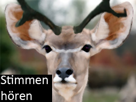 Stimmen hören