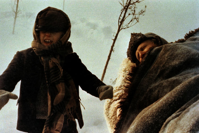 Alfred (Bj&ouml;rn Gustafson) liegt in Decken gepackt auf einem Schlitten, und Michel (Jan Ohlsson) macht der heftige Schneesturm zu schaffen.
Bild: ZDF/Studio 100 Media