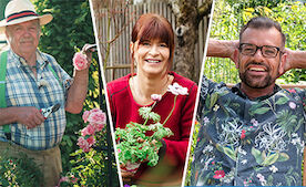 NEWS: Gartensendungen im TV
