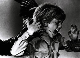 Ein Abend im Zeichen von Tippi Hedren