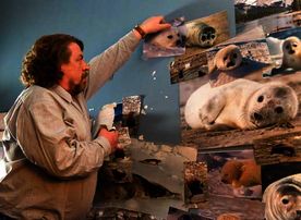 Aus der Traum vom Robbenretten in Kanada: Das Jobcenter macht G&uuml;nther (Armin Rohde) kurzerhand zum Fahrer und zur Haushaltshilfe einer Behinderten-WG. Bild: Sender