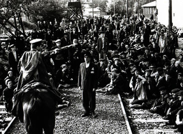 Holocaust und Zweiter Weltkrieg im TV