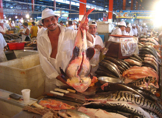 Fischmarkt Manaus. Bild: Sender