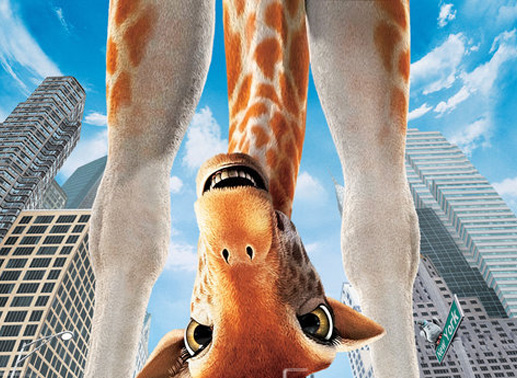 Das gr&ouml;&szlig;te Abenteuer ihres Lebens wartet auf Giraffe Bridget ... Bild: Sender