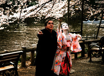 Kirschblüten - Hanami