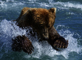 Heute: Kinder-Filme im TV