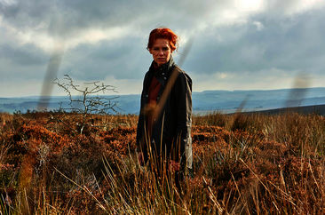 Charlotte Link: Die Suche